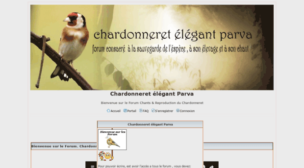chant-chardonneret.activebb.net