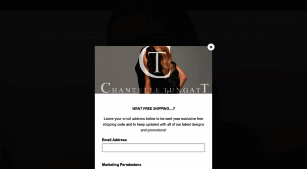 chantelletungatt.com