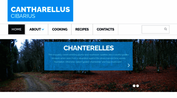 chanterelle.net