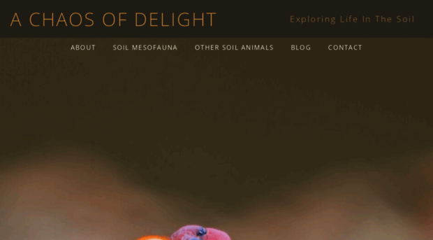 chaosofdelight.org