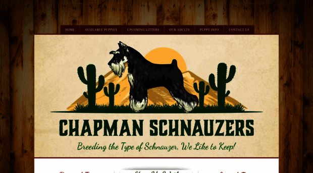 chapmanschnauzers.com