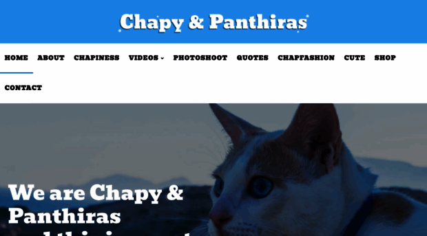 chapycat.com