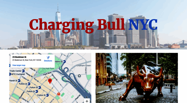chargingbullnyc.com