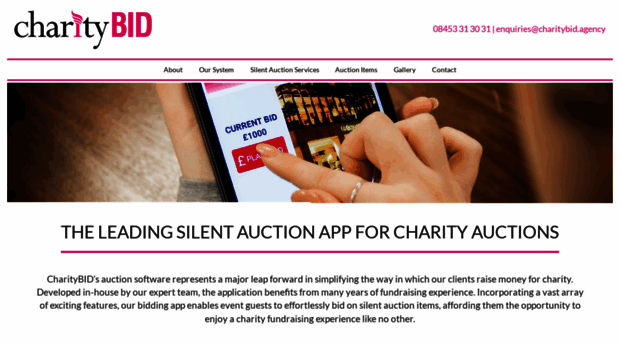 charitybid.agency