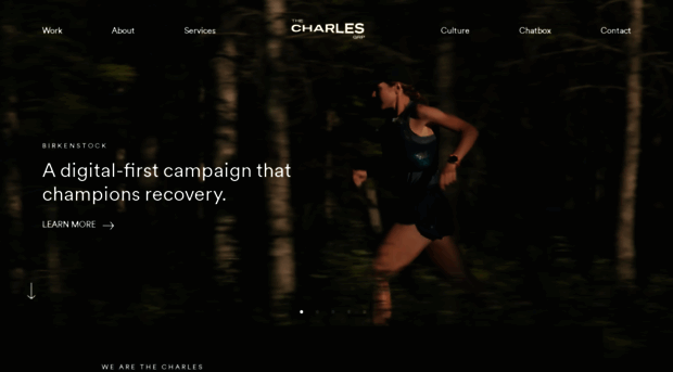 charlesgroupny.com