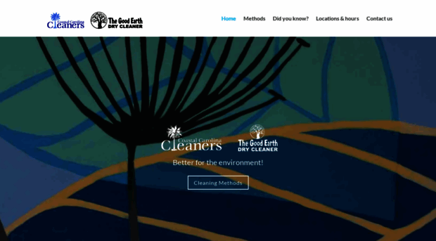 charlestondrycleaner.com