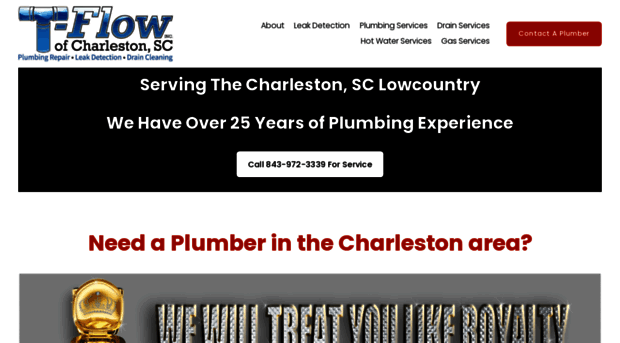 charlestonsplumber.com