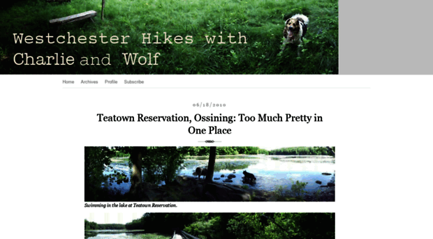 charlieandwolf.typepad.com