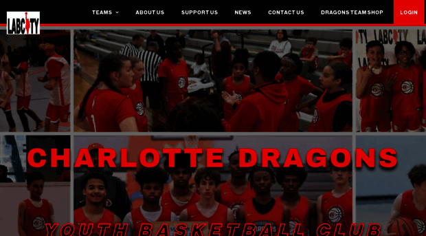 charlottedragons.com