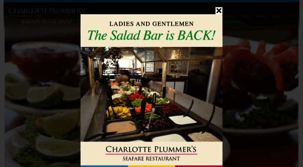 charlotteplummers.com