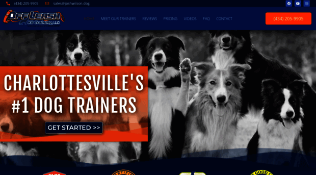 charlottesvilledogtraining.com