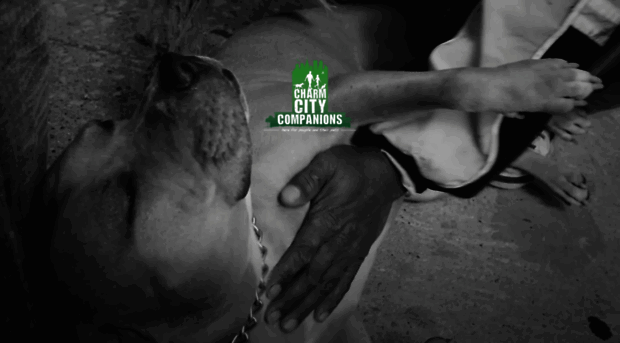 charmcitycompanions.org