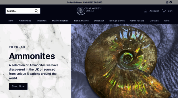 charmouthfossils.com