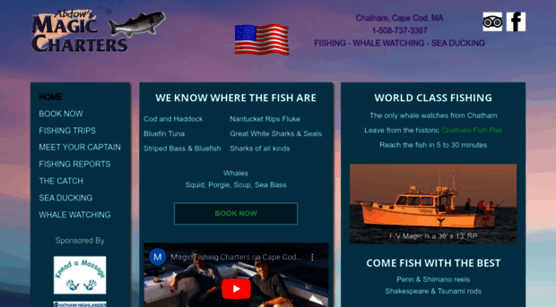 charterfishingcapecod.com