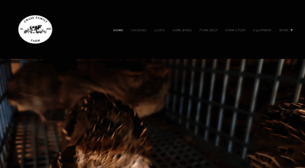 chasefamilyfarm.com