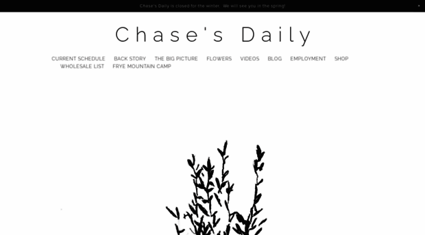 chasesdaily.me