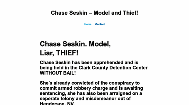 chaseseskin.wordpress.com