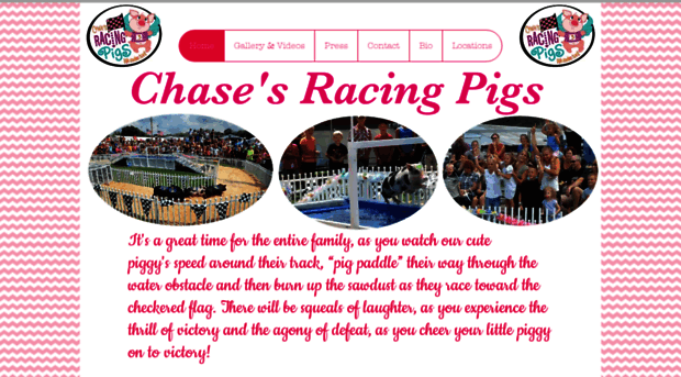 chasesracingpigs.com