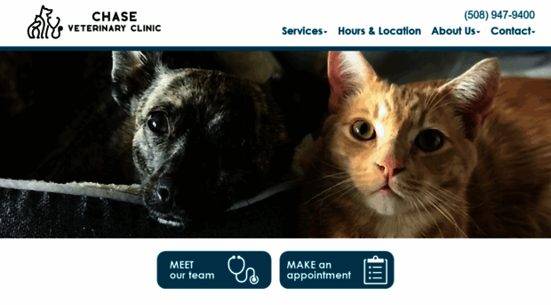 chasevetclinic.com