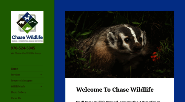 chasewildlife.com