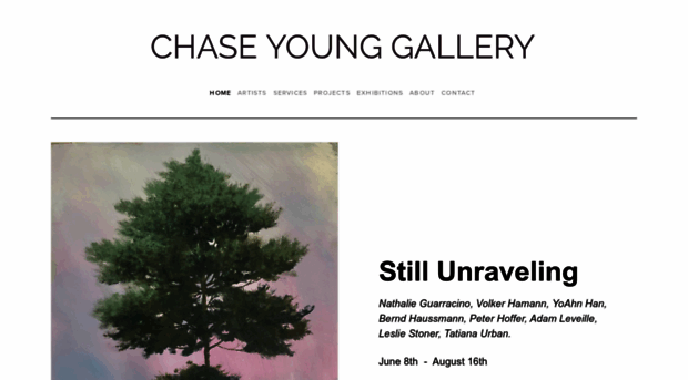 chaseyounggallery.com