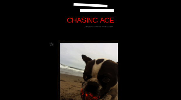 chasingace.wordpress.com