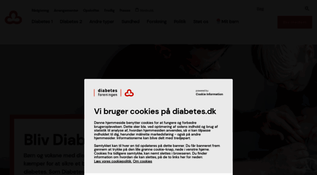 chat.diabetes.dk