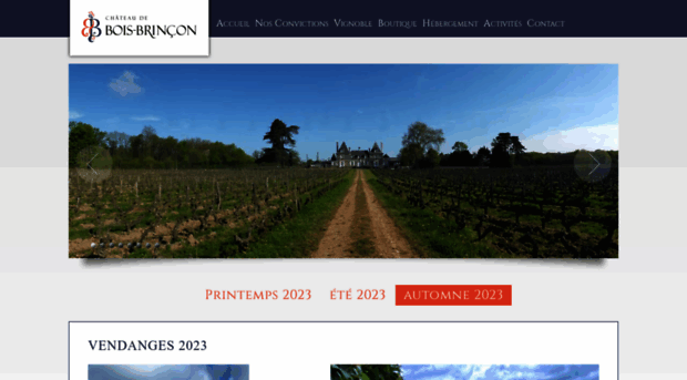 chateau-bois-brincon.com