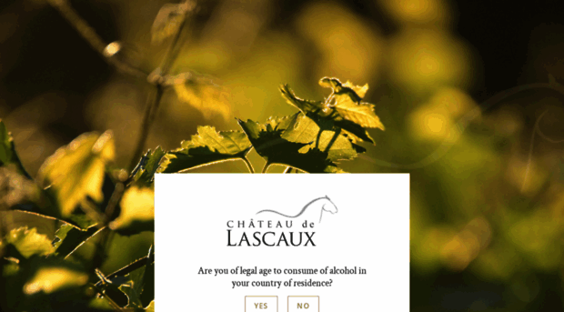 chateau-lascaux.com