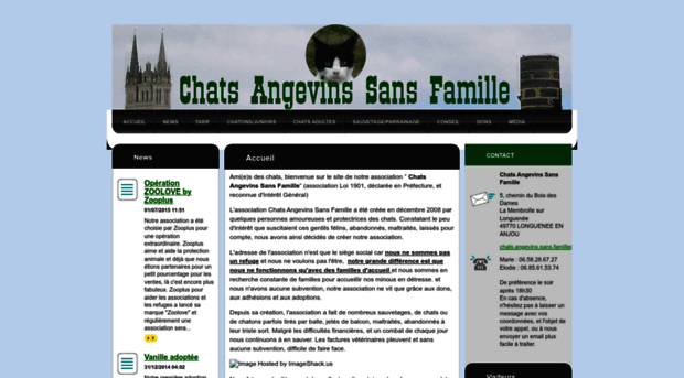 chatsangevinssansfamille.webnode.fr