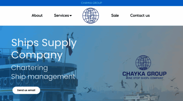 chayka-group.com