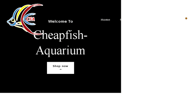 cheapfish-aquarium.ie