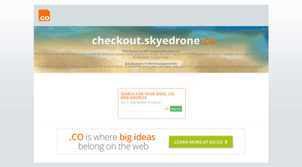 checkout.skyedrone.co