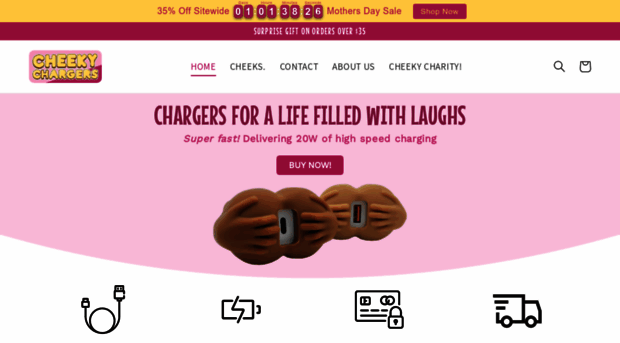 cheekychargers.com