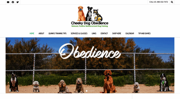 cheekydogobedience.com