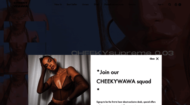 cheekywawa.com