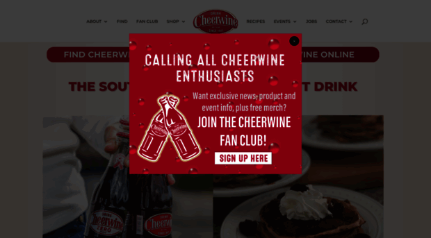 cheerwine.com