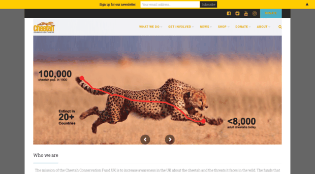 cheetah.org.uk