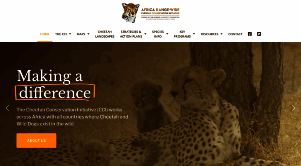 cheetahconservationinitiative.com