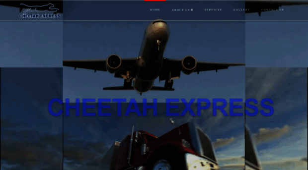 cheetahexpress.com