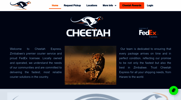 cheetahexpressgroup.com