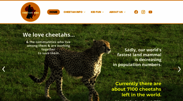 cheetahkids.com