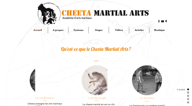 cheetamartialart.com