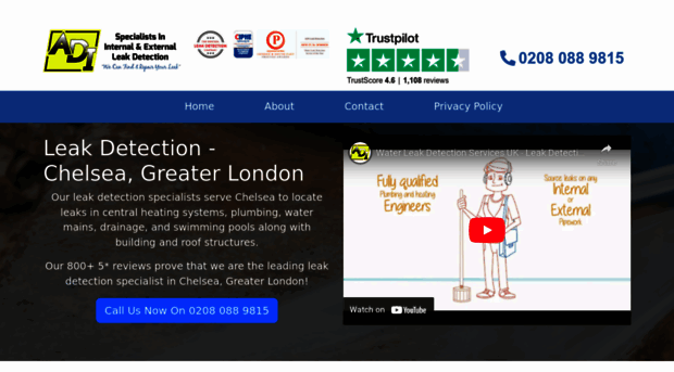 chelsealeakdetection.co.uk