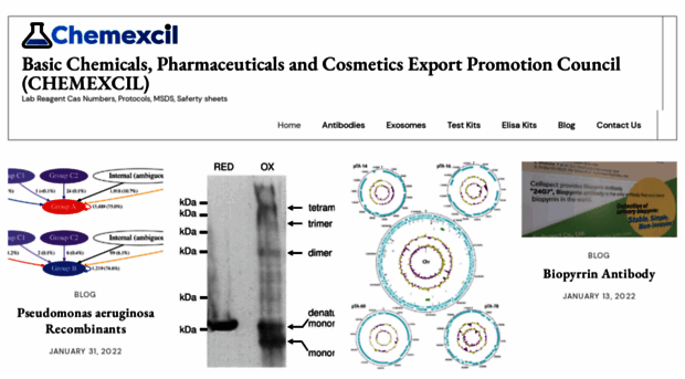 chemexcil.org