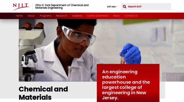 chemicaleng.njit.edu