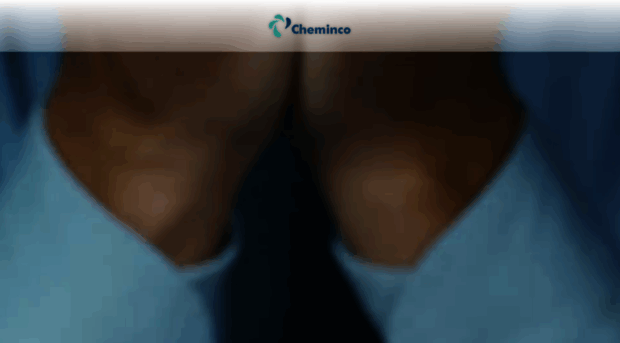 chemincogroup.com