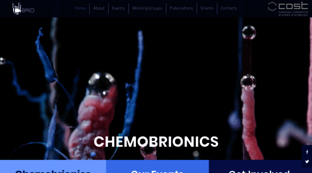 chemobrionics.eu