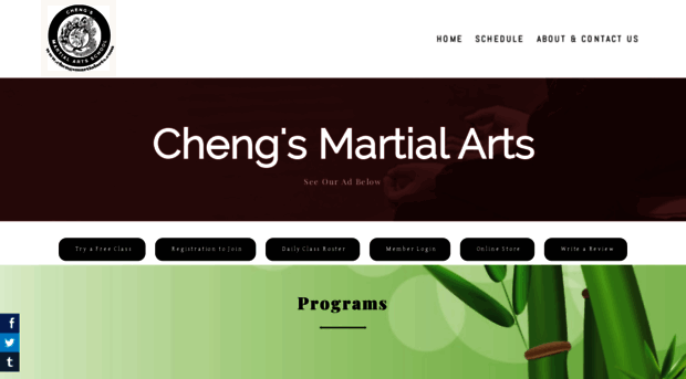 chengsmartialarts.com