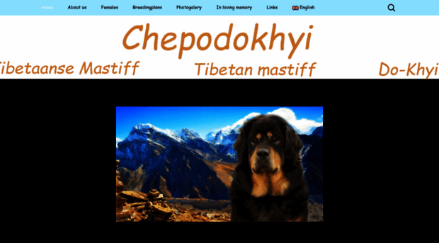 chepodokhyi.nl